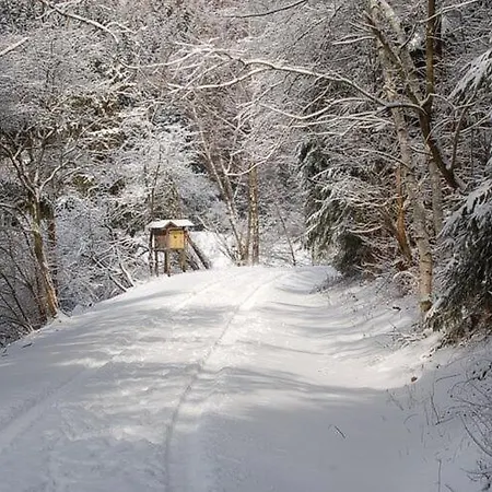 Holiday home Doppelhaushaelfte In Hasselfelde